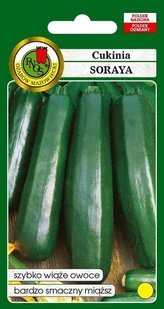 Cukinia Soraya 500 g PNOS - Nasiona i cebule - miniaturka - grafika 1