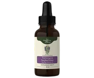 Zioła - TARCZYCA BAJKALSKA wyciąg ziołowy (nalewka) Magiczny Ogród (Nanga) - miniaturka - grafika 1