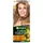 GARNIER Color Naturals Farba Do Włosów 7.3 Nauralny Złocisty Blond