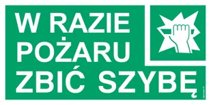AC040 W RAZIE POŻARU ZBIĆ SZYBĘ, TS - PŁYTA TD FOTOLUMINESCENCYJNA; (200X100MM) - Systemy ekspozycyjne i znaki informacyjne - miniaturka - grafika 1