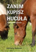 Albumy krajoznawcze - Zanim kupisz hucuła. Najczęstsze pytania - miniaturka - grafika 1