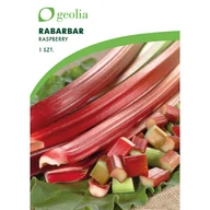 Nasiona i cebule - Rabarbar Raspberry 1szt. cebulki warzyw Geolia - miniaturka - grafika 1
