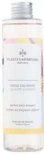 PLANTES&PARFUMS PROVENCE Olejek do dyfuzorów kolekcja Spring/Summer - Caliente Coconut  - Upajający Kokos - 200ml 090811 - Zapachy do domu - miniaturka - grafika 1