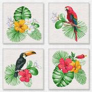 Malowanie po numerach - Malowanie po numerach 4OBRAZY 18x18cm ptaki tropik - miniaturka - grafika 1