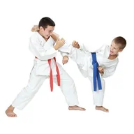 Kimona, stroje i obuwie - Kimono do karate dla dziecka + PAS Gratis - DBX BUSHIDO ARK-3102 - miniaturka - grafika 1
