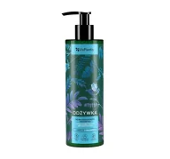 Odżywki do włosów - ELFA PHARM VIS PLANTIS HERBAL VITAL CARE Odżywka do włosów suchych i matowych 400 ml 7074531 - miniaturka - grafika 1