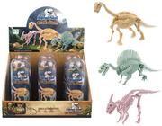 Figurki dla dzieci - Mega Creative, Dinozaur szkielet w tubie, 502337 - miniaturka - grafika 1