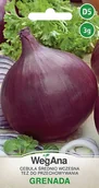Nasiona i cebule - Cebula Grenada 3g nasiona - WegAna - miniaturka - grafika 1