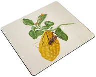 Podkładki pod mysz - Podkładka Cytryna z gąsienicą małpy i chrząszczem harlekin Maria Sibylla Merian 24x19cm - miniaturka - grafika 1