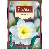 Nasiona i cebule - Narcyz wielkoprzykoronkowy Ice Follies 3 sztuki Eden - miniaturka - grafika 1
