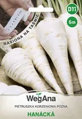 Nasiona i cebule - Pietruszka korzeniowa późna Hanacka nasiona na taśmie 6 m - WegAna - miniaturka - grafika 1