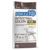 Sucha karma dla psów - Forza 10 Intestinal Colon, Phase 1, jagnięcina - 2 x 10 kg - miniaturka - grafika 1