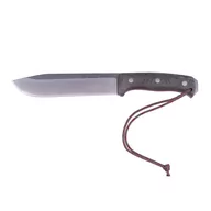 Noże - Nóż Joker Nomad 6.5 CV137 - miniaturka - grafika 1