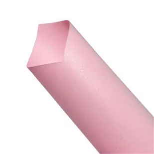 Galeria Papieru Karton wizytówkowy A4 200g Mika jasny róż (20) - Papier do drukarek - miniaturka - grafika 1