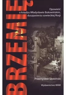 Brzemię - Historia świata - miniaturka - grafika 2