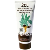Pielęgnacja stóp - GORVITA PPHU GorVita żel z kasztanowcem miłorzębem i babką lancetowatą 200 ml 7035596 - miniaturka - grafika 1