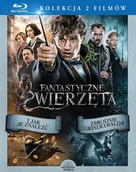 Pozostałe filmy Blu-Ray - Warner Bros Entertainment Pakiet: Fantastyczne zwierzęta - miniaturka - grafika 1