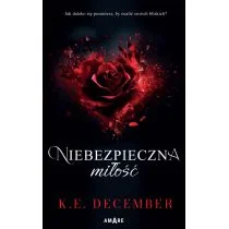 Niebezpieczna miłość - Literatura obyczajowa - miniaturka - grafika 1