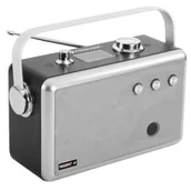 Radia - Ferguson Regent P1 srebrne - miniaturka - grafika 1