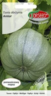 Nasiona i cebule - Nasiona Dynia olbrzymia Ambar 5g - Torseed - miniaturka - grafika 1