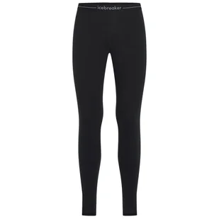 Męskie kalesony Icebreaker M Mer Core Heavyweight Leggings Rozmiar: M / Kolor: czarny - Bielizna sportowa męska - miniaturka - grafika 1