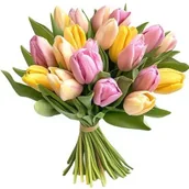 Kwiaty doniczkowe i cięte - Swieże Tulipany - miniaturka - grafika 1