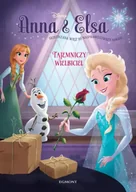 Książki edukacyjne - Anna i elsa tajemniczy wielbiciel - Erica David - miniaturka - grafika 1