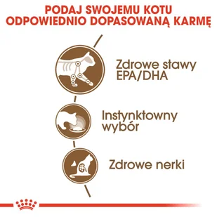 ROYAL CANIN  Ageing +12 12x85g karma mokra w sosie dla kotów dojrzałych + niespodzianka dla kota GRATIS! - Mokra karma dla kotów - miniaturka - grafika 8