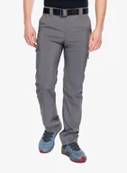 Odzież trekkingowa męska - Spodnie turystyczne męskie Columbia Silver Ridge Utility Pant grey 34 (M) - miniaturka - grafika 1