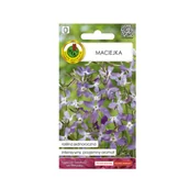 Nasiona i cebule - Maciejka nasiona 3 g Pnos - miniaturka - grafika 1