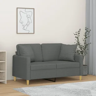 2-osobowa sofa z poduszkami, ciemnoszara, 120 cm, tkanina - Sofy i kanapy - miniaturka - grafika 1