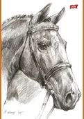 Przybory szkolne - St. Majewski Szkicownik A4 20k Konie - miniaturka - grafika 1