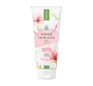 Kosmetyki do kąpieli - Lirene - POWER OF PLANTS - ROSE - MOISTURIZING SHOWER GEL - Nawilżający żel pod prysznic - RÓŻ - 200 ml - miniaturka - grafika 1