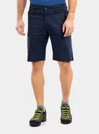 Odzież trekkingowa męska - Spodenki Salewa Alpine Hemp Cargo Shorts - navy blazer - miniaturka - grafika 1