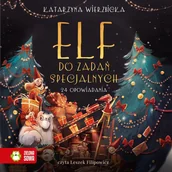 Audiobooki dla dzieci i młodzieży - Elf do zadań specjalnych - miniaturka - grafika 1