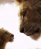 Zabawki kreatywne - Haft Diamentowy Diamond Painting 30x40cm Lew , Lwy DPX-00121 - miniaturka - grafika 1