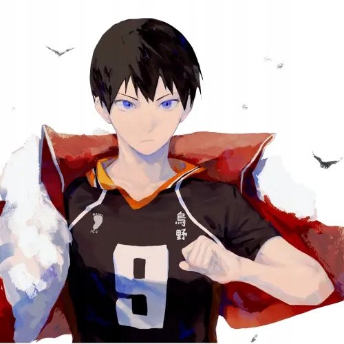 Plakat Anime Manga Haikyuu hy_012 A1+ (custom)