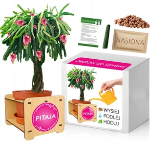 Zestaw do Uprawy PITAJA SMOCZY OWOC nasiona - Nasiona i cebule - miniaturka - grafika 1