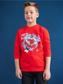 Swetry dla chłopców - Sinsay - Bluza z nadrukiem - pomarańczowy - miniaturka - grafika 1