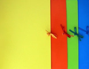 Inter-druk Teczka wiązana A4+ Fluo mix - Szkolne artykuły papiernicze - miniaturka - grafika 1