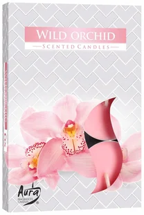 Bispol Podgrzewacz zapachowy wild orchid 6 szt - Świece - miniaturka - grafika 1
