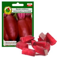 Nasiona i cebule - Burak Ćwikłowy Regulski Cylinder Nasiona Bez Gmo 10G - miniaturka - grafika 1