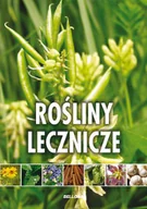 Zdrowie - poradniki - Rośliny lecznicze - miniaturka - grafika 1