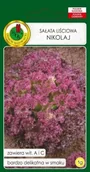 Nasiona i cebule - SAŁATA LIŚCIOWA NIKOLAJ 1g - miniaturka - grafika 1