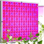 Lampy sufitowe - Lampa wisząca Gardlov Lampa/ panel 225 LED do wzrostu uprawy rośl. 23525 - miniaturka - grafika 1