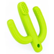 Szczoteczki do zębów - GRYZAK KAKTUS ZIELONY - miniaturka - grafika 1