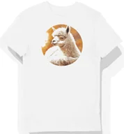 Koszulki męskie - Koszulka męska biała z motywem puszystej beżowej alpaki odpoczywającej w świetle XL - miniaturka - grafika 1