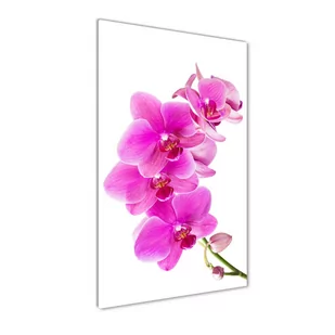 Obraz zdjęcie szkło akryl pionowy Różowa orchidea - Obrazy i zdjęcia na płótnie - miniaturka - grafika 1