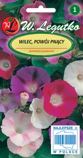 Legutko Wilec (Powój pnący) EARLY CALL - Nasiona i cebule - miniaturka - grafika 1
