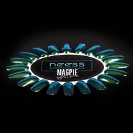 Lakiery hybrydowe - Neess Pyłek do paznokci hybrydowych Magpie Effect Zielony 2g 3574 - miniaturka - grafika 1